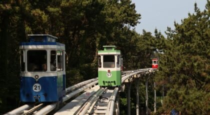 A vibrant tramway system navigating through lush greenery, offering scenic views and a serene journey.