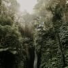 Discover the serene beauty of a Bali rainforest waterfall, surrounded by lush greenery.