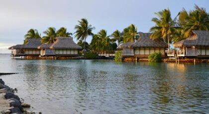 Scenic view of overwater bungalows surrounded by palm trees and calm waters at a tropical resort.