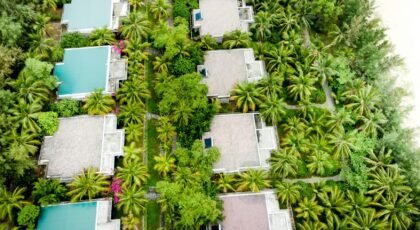 Aerial shot of tropical villas surrounded by vibrant palm trees and lush greenery.