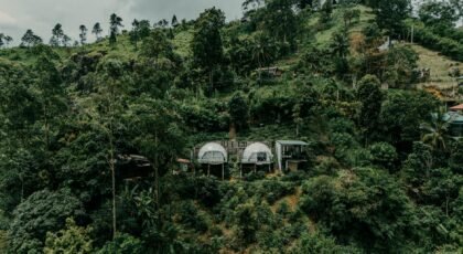 Aerial shot of eco-friendly huts nestled in lush greenery in the Sri Lankan hills, perfect for eco-travelers.