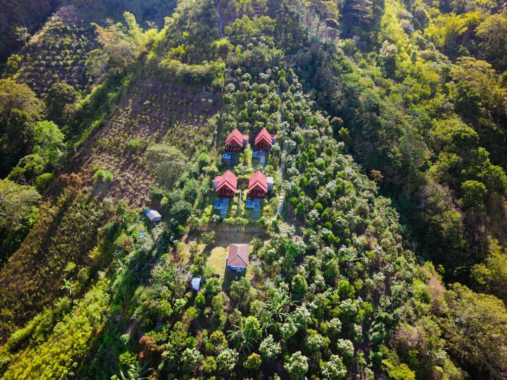 Adiwana Dara Ayu Villas Hidden Bali Jungle Retreat Worth Discovering