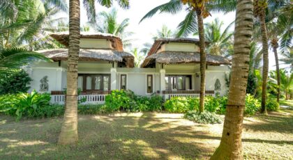 A serene tropical villa amidst lush palm trees, perfect for vacation retreats.