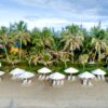 Serene tropical beach with palm trees and aligned white umbrellas on sandy shore.
