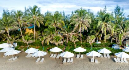 Serene tropical beach with palm trees and aligned white umbrellas on sandy shore.
