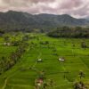 Aerial view of vibrant green rice terraces in Bali, framed by mountains and cloudy skies.