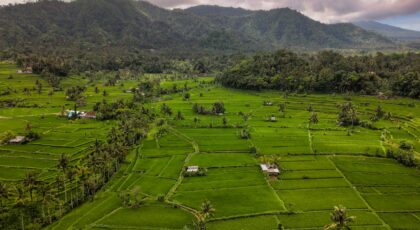 Aerial view of vibrant green rice terraces in Bali, framed by mountains and cloudy skies.
