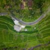 Aerial shot showcasing lush green rice terraces and a winding road in Bali, Indonesia.