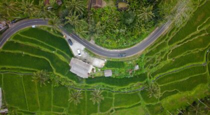 Aerial shot showcasing lush green rice terraces and a winding road in Bali, Indonesia.